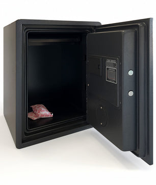 LGP53 F SAFE